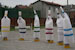 Foto n.54. Clicca per ingrandire.