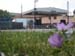 Foto n.13. Clicca per ingrandire.